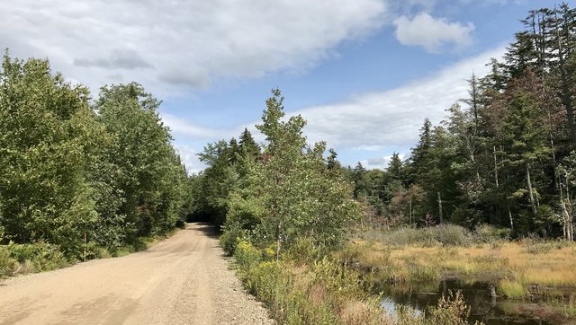 Piseco-Powley Road Dispersed