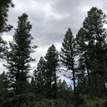 Silver lake campground new mexico