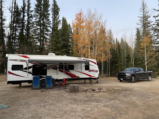 Forest Road 213 Dispersed Campsite