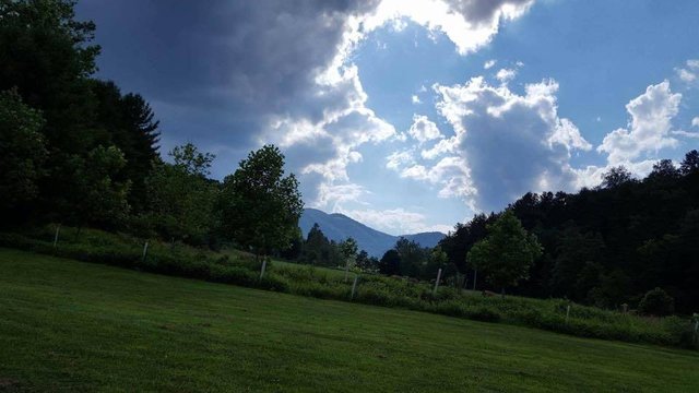 Photo 5 Of 5 Of Braley Pond Dispersed Campground West
