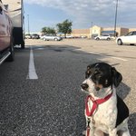 Walmart kansas