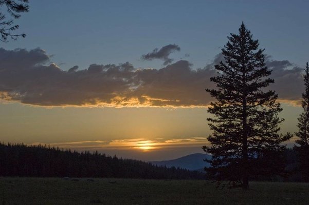 Clover Meadows Dispersed Camping