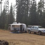 Forest road 100 dispersed