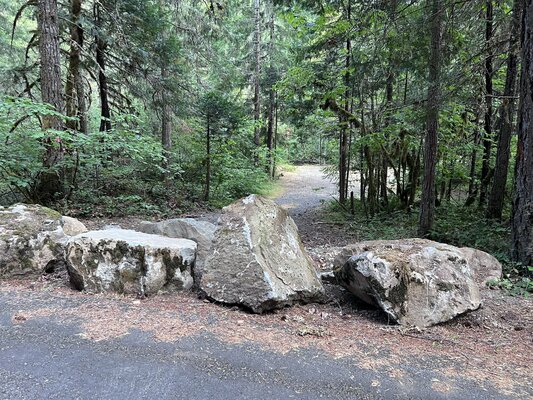 Salmon Creek Road photo 2
