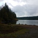 Dogwood bay