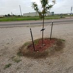 Burlington rv park