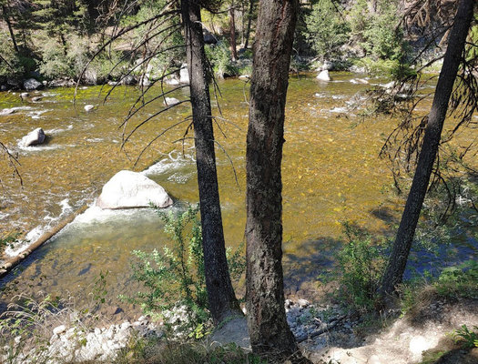 Dalles Campground