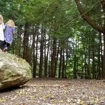 Mt greylock campsite park