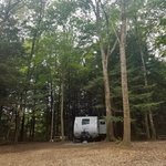 Mt greylock campsite park