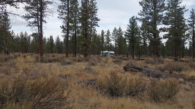Eagle Rock Road photo 2