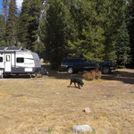North goose lake dispersed