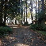 Maple grove recreation site