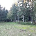 Spruston staging area