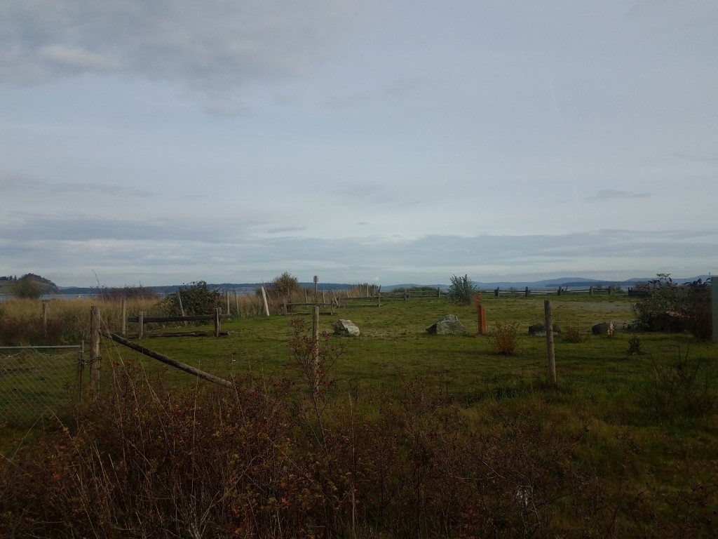 Island View Beach Regional Park Campground - Main photo
