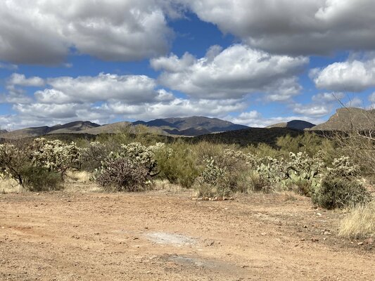 Dripping Springs Road Dispersed Camping