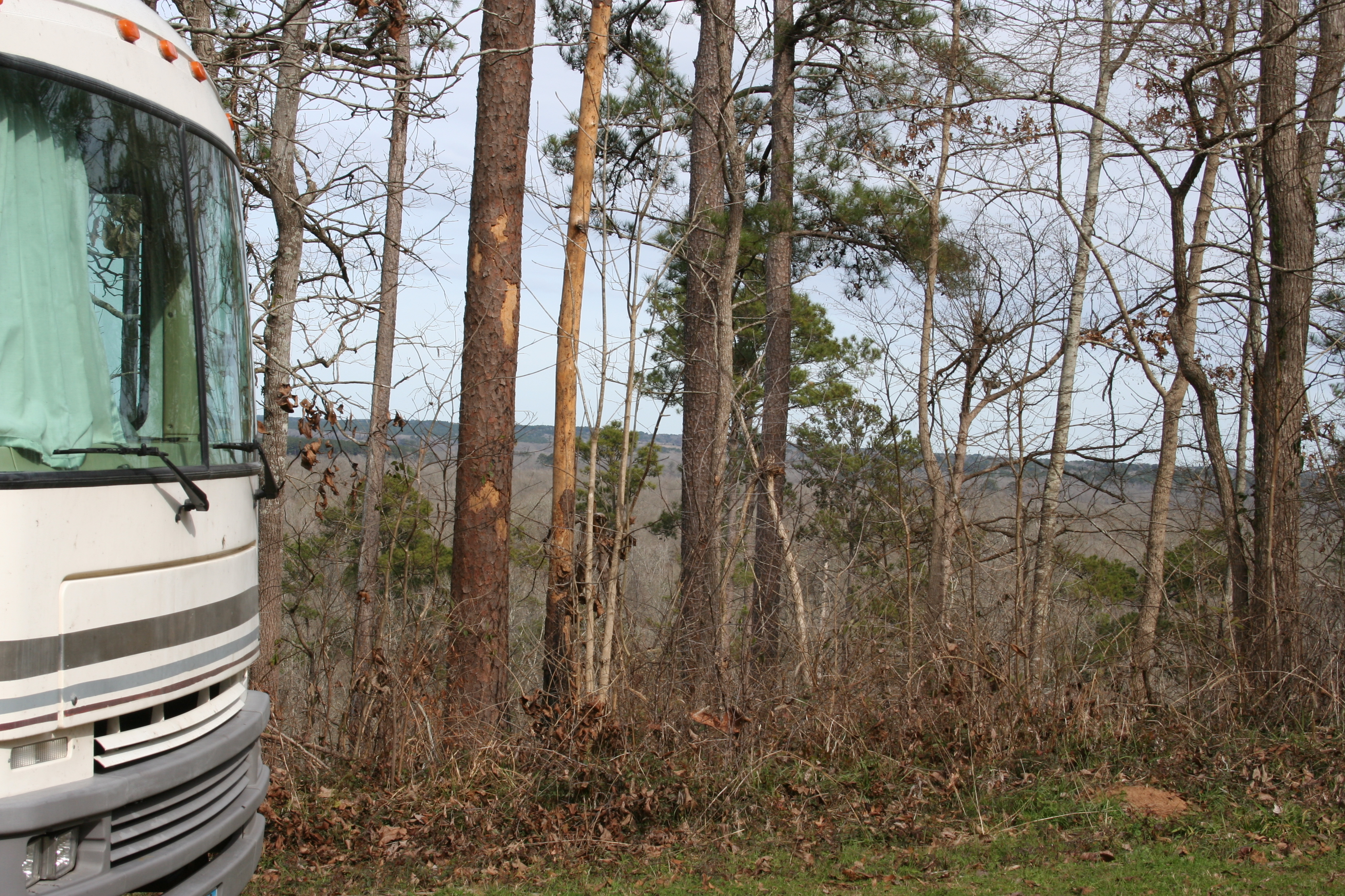 Neches Bluff Overlook Dispersed Camping - Main photo