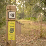 Warren bluff tates hell state forest