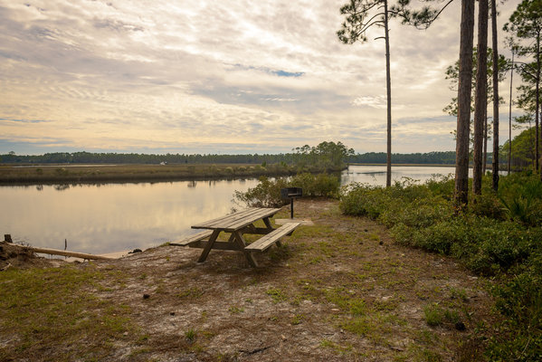 Warren Bluff Campsite 48