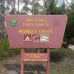 Womack creek campground tates hell state forest