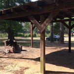 Marsh wildlife management area