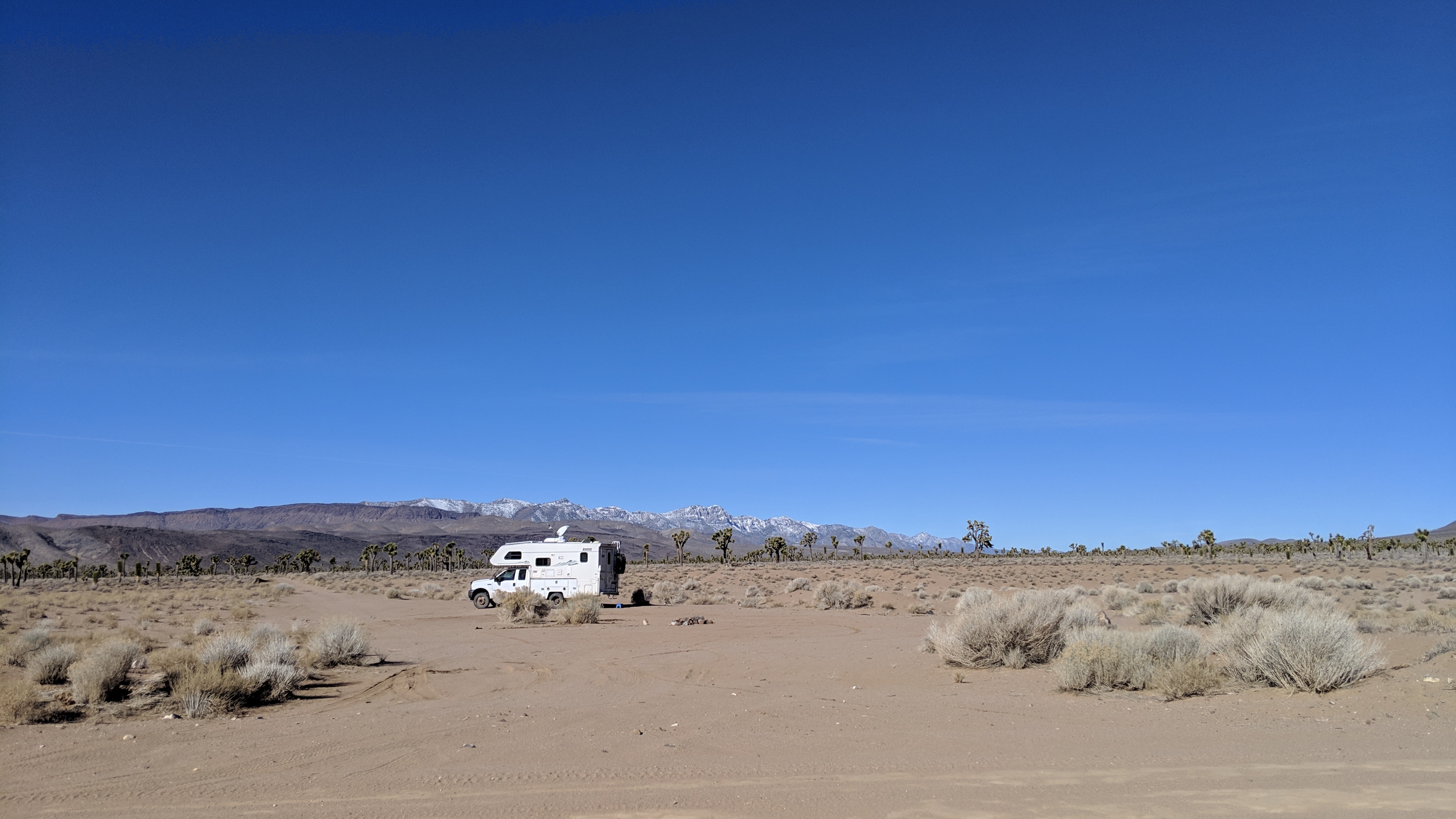 Lee Flat Joshua Tree Forest Backcountry Camping - Main photo