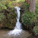Nelson falls rv park