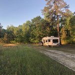 Pine hill di lane
