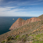 Campo 5