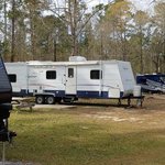 Swayback campground