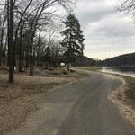 New cowhide cove