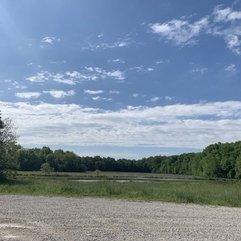 Tinybiglivin S Profile Campendium