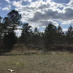 Muddy fork camp
