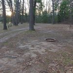 Sawmill point sites 42 47
