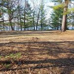 Sawmill point sites 48 57