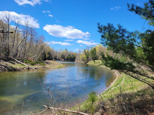 Lower Ausable Campsites 98-102