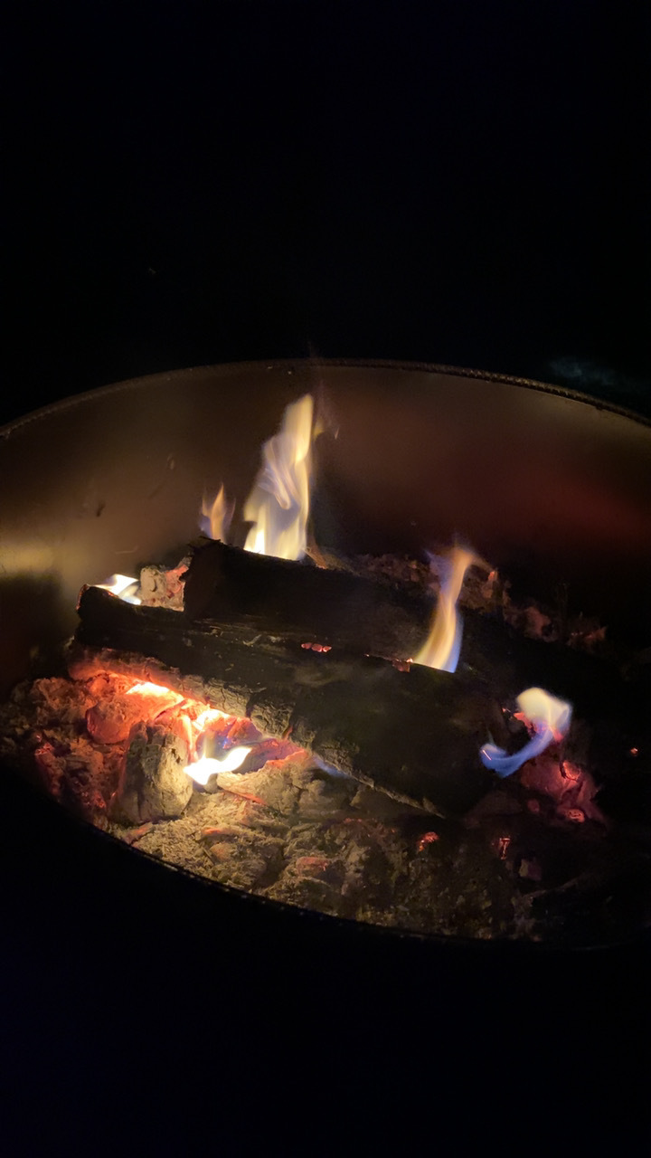 Clifton RV Park Reviews updated 2024