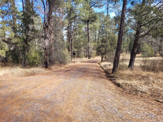 Sapillo Dispersed Camping Area photo 2