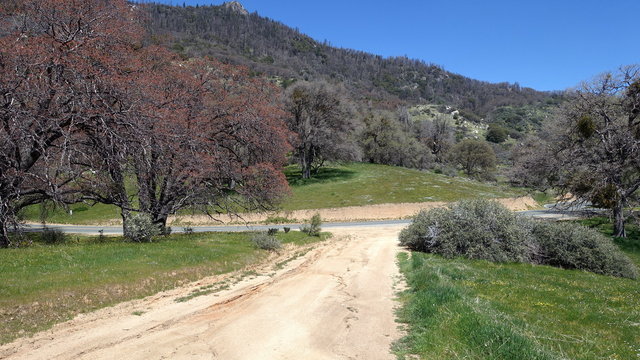 Evans Road Campsite #1 photo 2