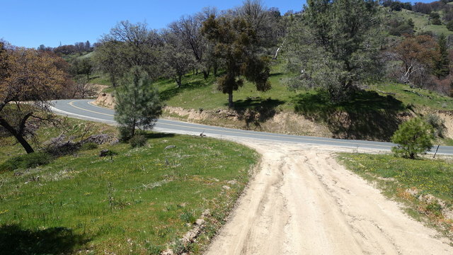 Evans Road Campsite #2 photo 2