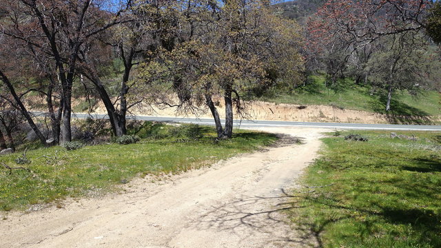 Evans Road Campsite #3 photo 2
