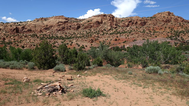 Blue Mountain Dispersed Camping photo 2