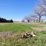 Soldiers memorial county park