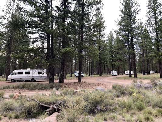 Oregon Free Camping 185 Free Campsites In Oregon Campendium Oregon Free Camping 185 Free Campsites In Oregon Campendium