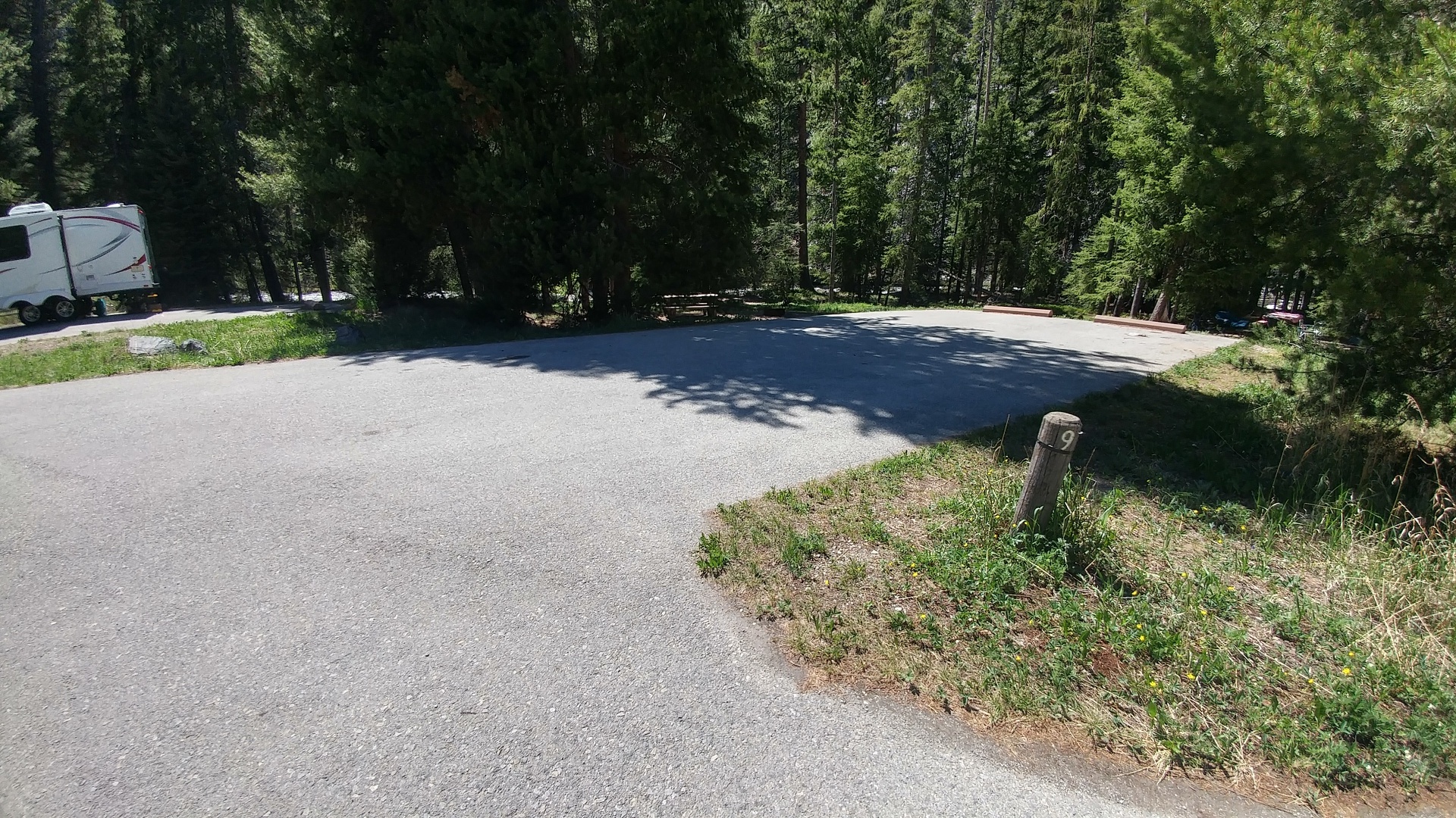 Lodgepole Campground Reviews updated 2024