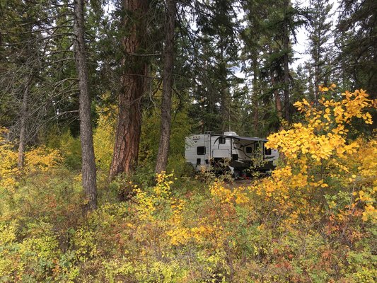 Logan State Park Campground photo 2