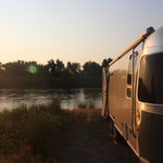 Mallards landing