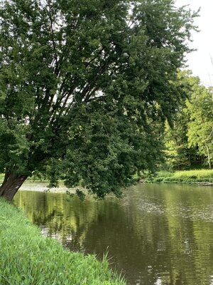 Evergreen Park Campground