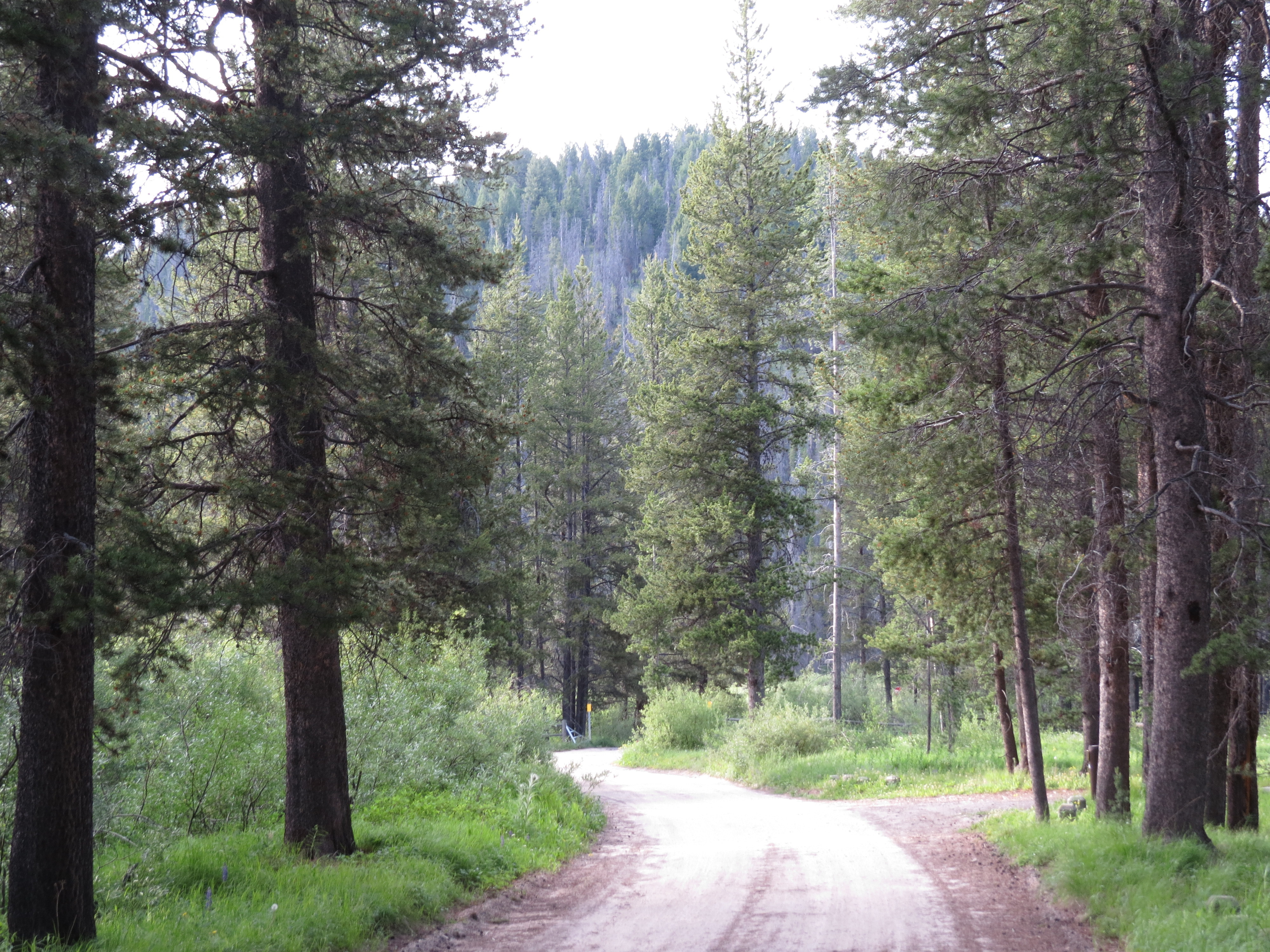 May Creek Campground