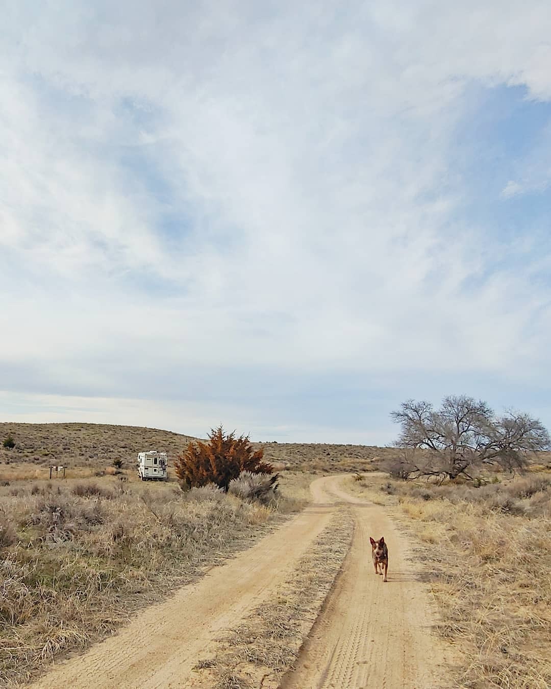 Enders Reservoir WMA Dispersed Camping Reviews updated 2024