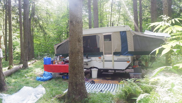 Mt. Moosalamoo Dispersed Camping photo 2